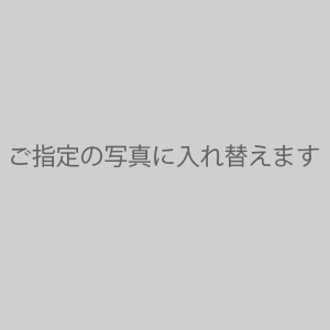 外部連携